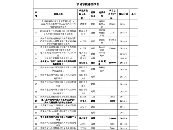 项目节能评估报告